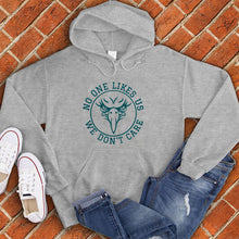 Load image into Gallery viewer, No One Likes Us We Don&#39;t Care Hoodie
